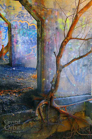 Graffiti Art, Tree, Urban Decor, Abandoned, Lonely, Urban Art, Colorful Art, Graffiti Photos, Wall Art, Brown, Blue, Orange, Purple, Teal