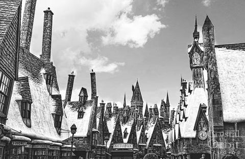 Hogsmeade Village Snowy Rooftop with Butterbeer Photograph