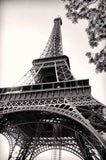 Eiffel Tower Photos for Sale